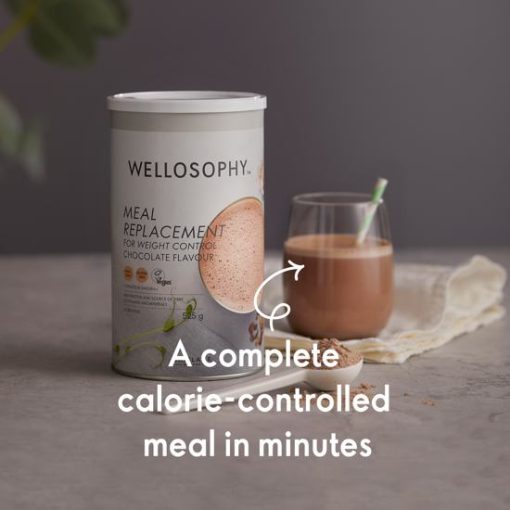 WELLOSOPHY Meal Replacement for Weight Control Vanilla Flavour