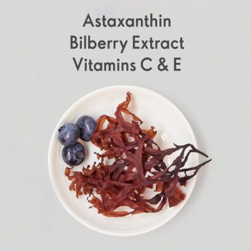 WELLOSOPHY Astaxanthin & Bilberry Extract